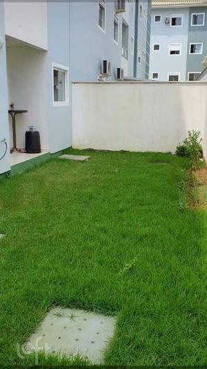 Image 8 - 554864