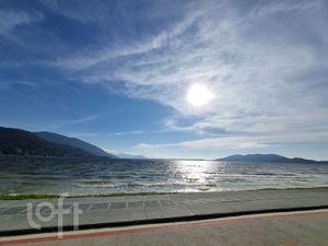 Image 13 - 555151