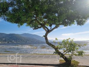 Image 10 - 555151