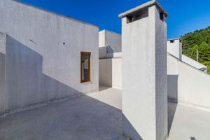 Image 25 - 555257