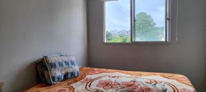 Image 17 - 555438