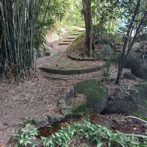 Image 58 - 556355