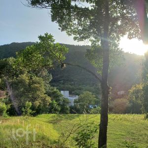 Image 61 - 556355