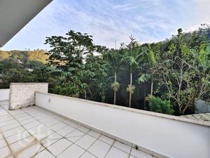 Image 56 - 556355