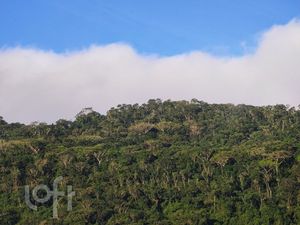 Image 18 - 556355