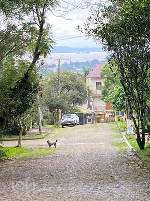 Image 44 - 558540