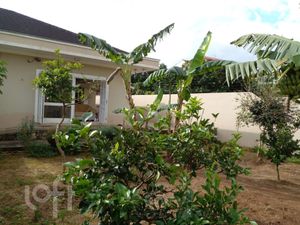 Image 41 - 558637