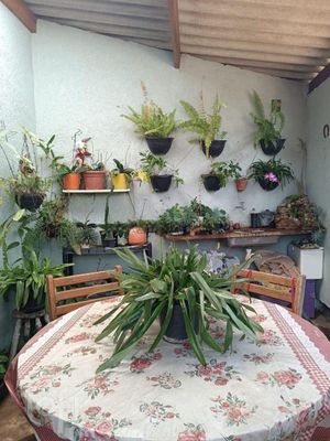 Image 13 - 561766