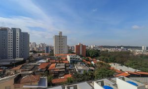 Image 12 - 562036