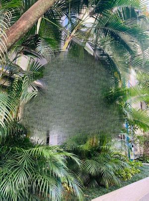 Image 15 - 563249