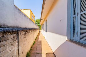 Image 37 - 564319