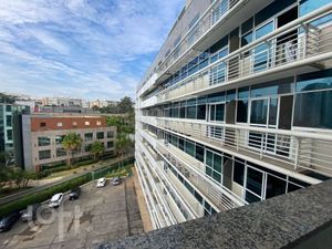 Image 8 - 565486