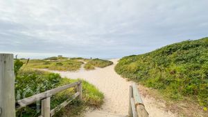 Image 44 - 567767