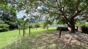 Image 86 - 570349