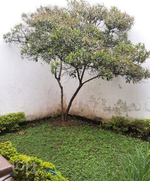 Image 20 - 571517