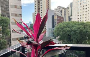Image 3 - 572104