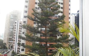 Image 5 - 572201