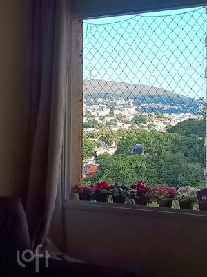 Image 13 - 573336