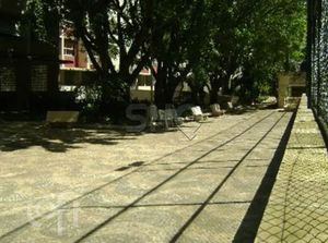 Image 37 - 573995