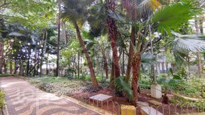 Image 29 - 573995