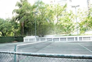 Image 17 - 574781