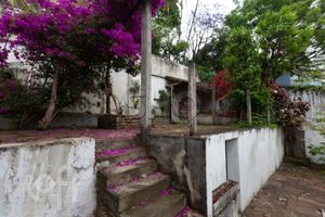 Image 19 - 585216