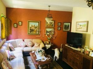 Image 17 - 589181