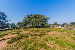 Image 15 - 591694
