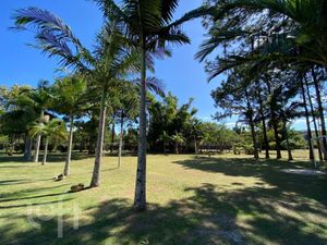 Image 26 - 591792