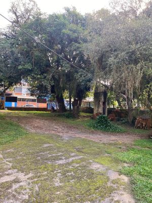 Image 15 - 592267