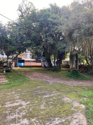 Image 8 - 592267