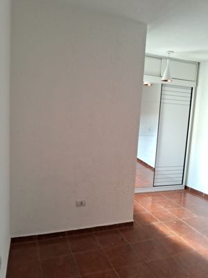 Image 3 - 592978
