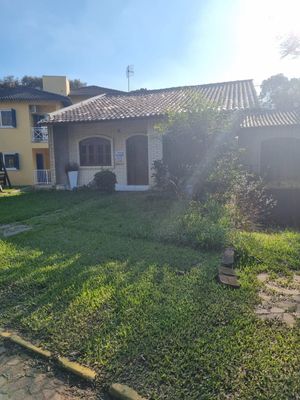 Image 16 - 595009