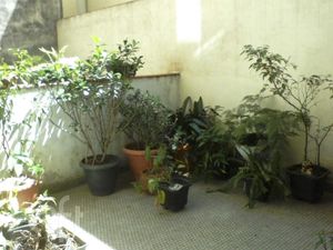 Image 11 - 605015