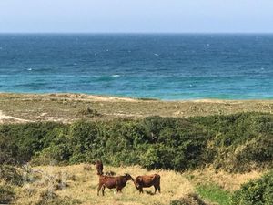Image 15 - 605637
