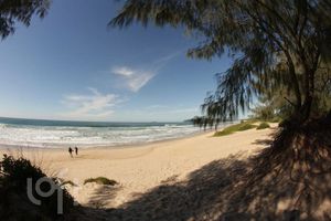 Image 10 - 605877