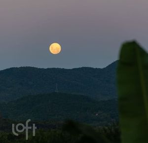 Image 9 - 607819