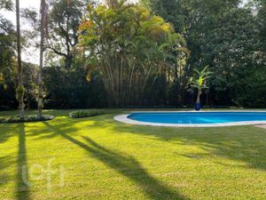 Image 31 - 617384