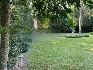Image 25 - 617384