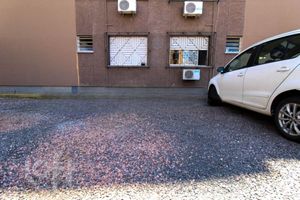 Image 16 - 618823