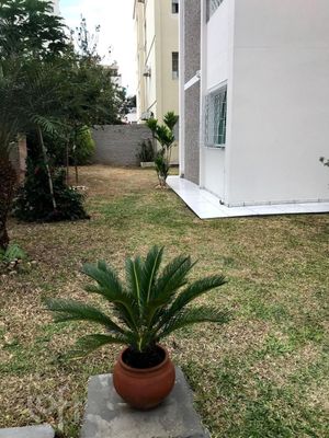 Image 6 - 627586