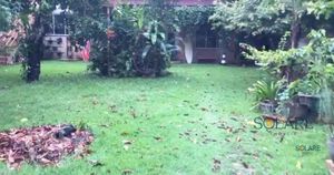 Image 30 - 629994