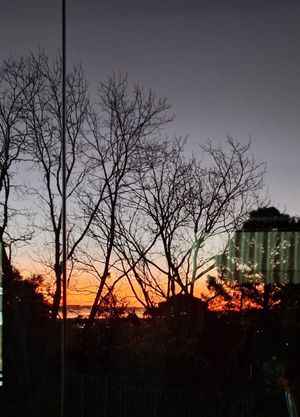 Image 18 - 635861