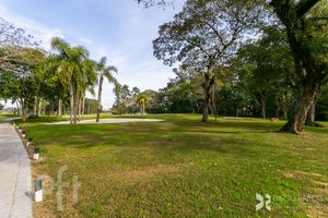 Image 76 - 647091