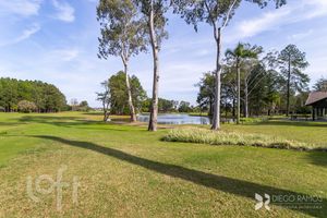 Image 81 - 647091