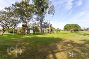 Image 80 - 647091