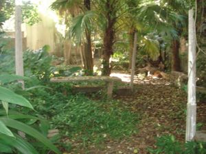 Image 20 - 6474