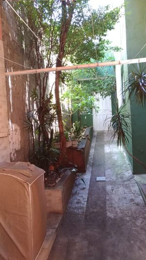 Image 10 - 648458