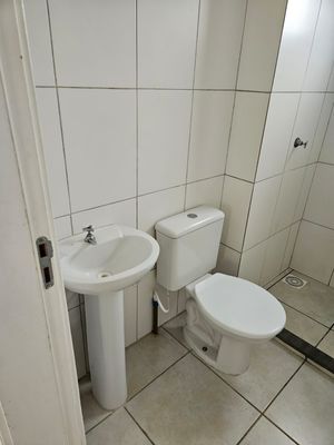 Image 11 - 650423