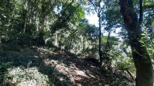 Image 29 - 651145